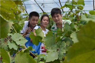 DSC_2174_副本.jpg
